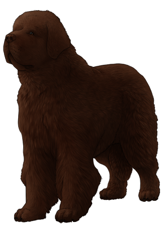 Newfoundland
