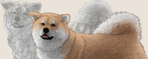 Description: Dog Image